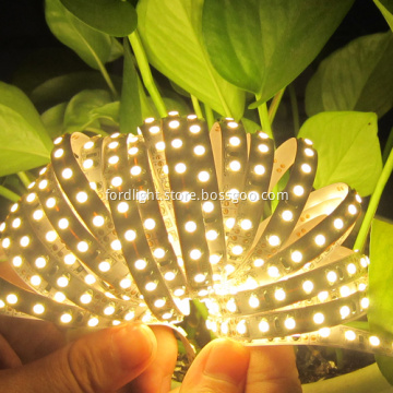 12V Low Voltage White Waterproof Decoration SMD3528 LED Strip Light